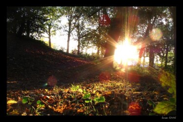 Photographie intitulée "Automne à Lille" par Olivier Horen, Œuvre d'art originale