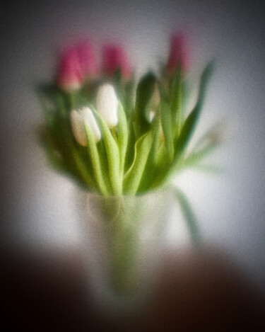Photography titled "Les tulipes" by Olivier Pasquiers, Original Artwork, Non Manipulated Photography