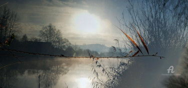 Photographie intitulée "Bord de rivière 5" par Olivier Dayot, Œuvre d'art originale, Photographie manipulée