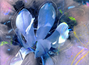 Arts numériques intitulée "Magnolia Tribe (ex…" par Olivier Gilet, Œuvre d'art originale, Photos