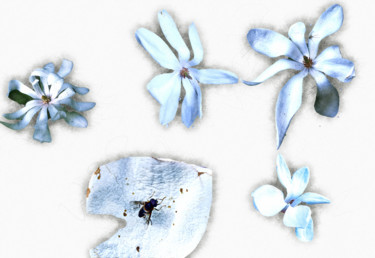 Arts numériques intitulée "Magnolias travels (…" par Olivier Gilet, Œuvre d'art originale, Peinture numérique