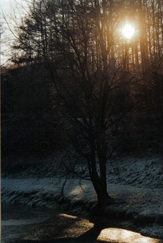Photographie intitulée "Soleil d'hiver" par Olivier Moch, Œuvre d'art originale