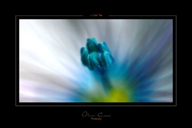 Photographie intitulée "Le Pistil Bleu" par Ollivier Cacaud, Œuvre d'art originale, Photographie numérique