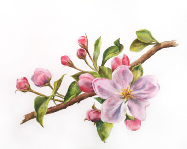 Pintura intitulada "Cherry blossom, wat…" por Olya Grigorevykh, Obras de arte originais, Aquarela