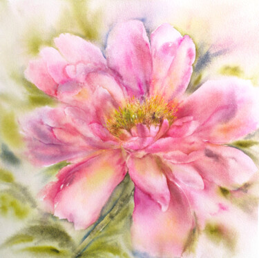 Painting titled "Peony. Soft pink fl…" by Olya Grigorevykh, Original Artwork, Watercolor