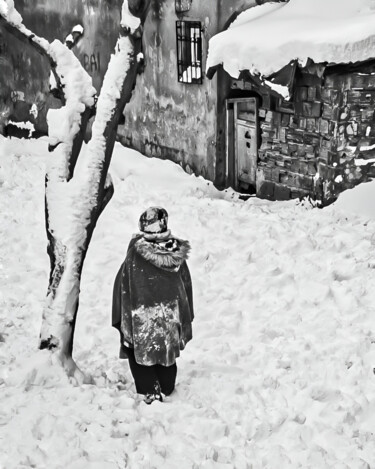 Fotografia intitulada "In Snow" por Ömer Erdoğan, Obras de arte originais, Fotografia digital