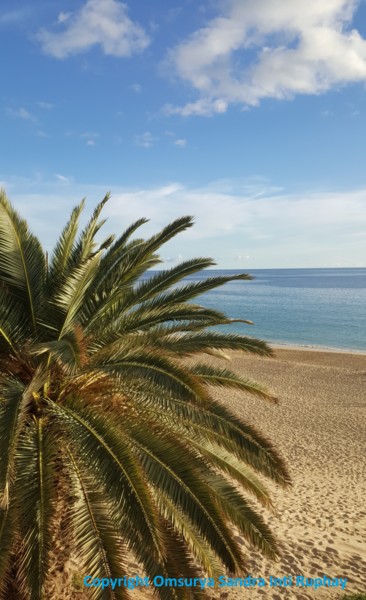 Fotografía titulada "PALMERA AMOR MAR" por Omsurya Sandra Inti Ruphay, Obra de arte original