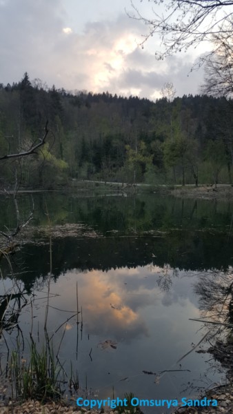 Fotografie mit dem Titel "ROSA WEIHER IDYLLE" von Omsurya Sandra Inti Ruphay, Original-Kunstwerk, Nicht bearbeitete Fotograf…