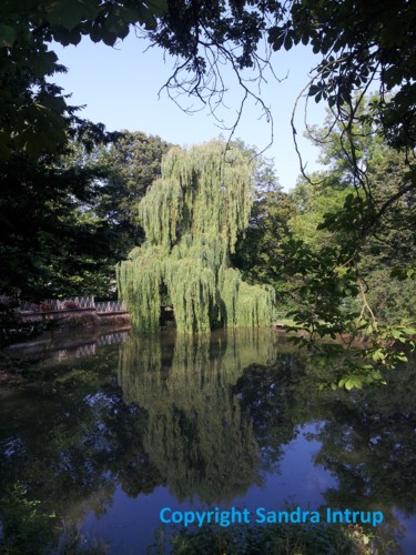 Fotografia intitolato "SEEBLAUWEIDE" da Omsurya Sandra Inti Ruphay, Opera d'arte originale