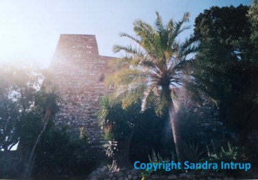 Photographie intitulée "MAGIE PALME ALHAMBRA" par Omsurya Sandra Inti Ruphay, Œuvre d'art originale