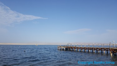 Photography titled "PELICANO MUELLE MAR…" by Omsurya Sandra Inti Ruphay, Original Artwork