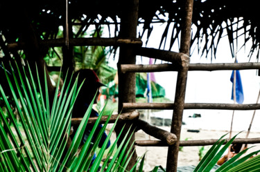 Fotografia intitulada "Palm Leaf" por Opelmendoza, Obras de arte originais, Fotografia digital