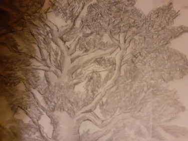 Dessin intitulée "Auprès de ce chêne" par Minnie House, Œuvre d'art originale, Crayon