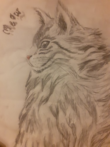 Drawing titled "Meow" by Minnie House, Original Artwork, Pencil