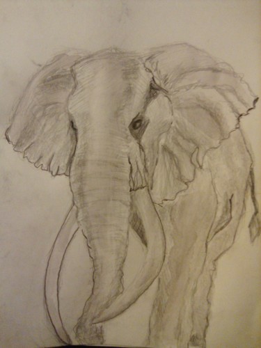 Desenho intitulada "Elefant" por Minnie House, Obras de arte originais, Aquarela