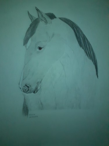 Drawing titled "Cheval" by Minnie House, Original Artwork, Pencil