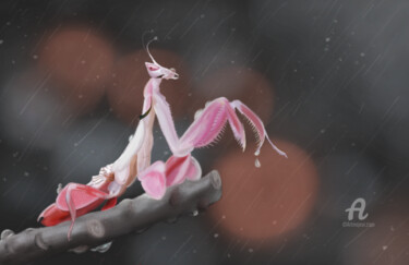 Digital Arts titled "Orchidée" by Opinoy, Original Artwork, Digital Painting