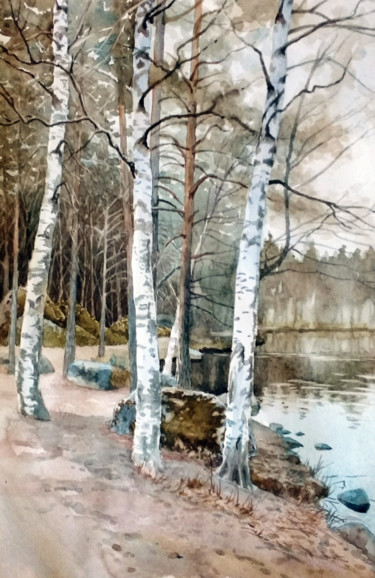 Painting titled "Березы" by Aleksei Stepankov, Original Artwork, Watercolor