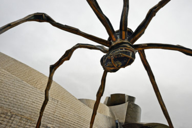 Photographie intitulée "Bilbao, musée Guggu…" par Alain Brasseur, Œuvre d'art originale