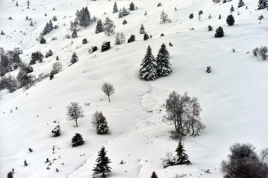 Photographie intitulée "Le bel hiver 2018/13" par Alain Brasseur, Œuvre d'art originale