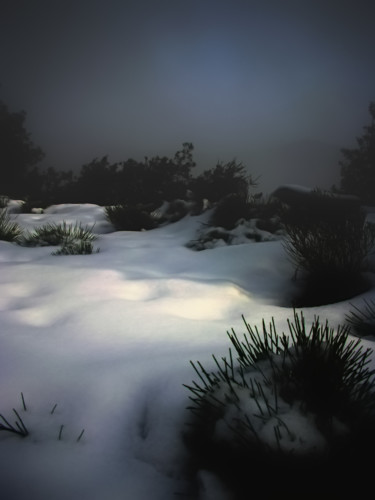 Fotografie mit dem Titel "Clair-obscur hivern…" von Alain Brasseur, Original-Kunstwerk