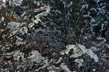 Photographie intitulée "Lumières d'hiver." par Alain Brasseur, Œuvre d'art originale