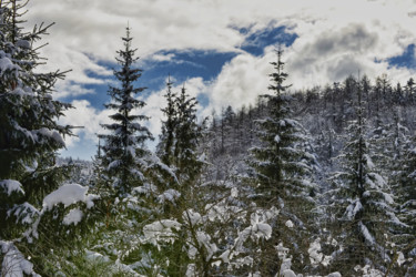 Photographie intitulée "Bel hiver / 9" par Alain Brasseur, Œuvre d'art originale