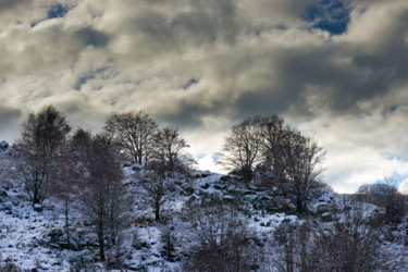 Fotografie mit dem Titel "Bel hiver / 13" von Alain Brasseur, Original-Kunstwerk