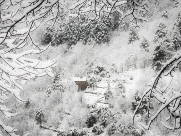 Photographie intitulée "Bel hiver / 14" par Alain Brasseur, Œuvre d'art originale
