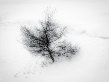 Photographie intitulée "Bel hiver / 15" par Alain Brasseur, Œuvre d'art originale