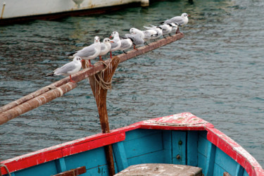 Fotografía titulada "Marine" por Alain Brasseur, Obra de arte original