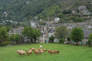 Photography titled "Le Pont-de-Montvert" by Alain Brasseur, Original Artwork