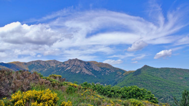 Photographie intitulée "Col de banette" par Alain Brasseur, Œuvre d'art originale