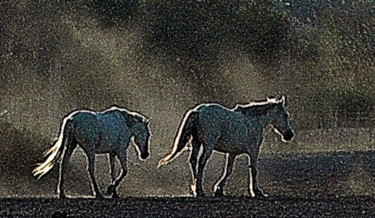 Photographie intitulée "Camargue" par Alain Brasseur, Œuvre d'art originale