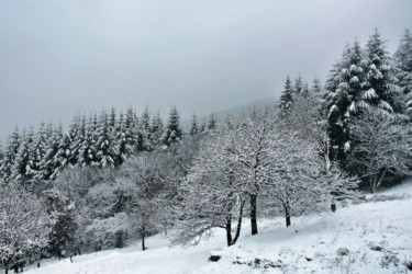 Photographie intitulée "Hiver 2014" par Alain Brasseur, Œuvre d'art originale