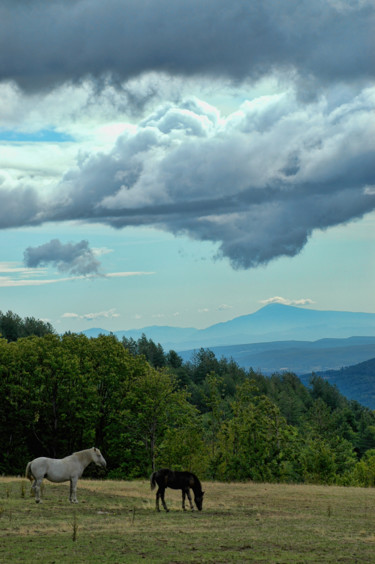 Photography titled "Le Mont-Ventoux" by Alain Brasseur, Original Artwork