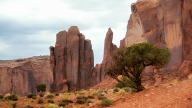 Fotografía titulada "Monument Valley" por Alain Brasseur, Obra de arte original