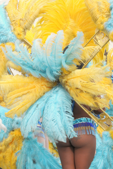 Photographie intitulée "2010 Carnaval de Ni…" par Alain Brasseur, Œuvre d'art originale