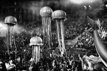 Photographie intitulée "2010 Carnaval de Ni…" par Alain Brasseur, Œuvre d'art originale