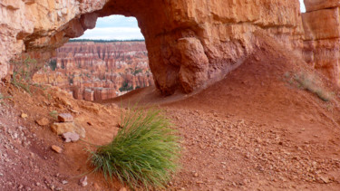 Fotografie mit dem Titel "Bryce canyon 2" von Alain Brasseur, Original-Kunstwerk