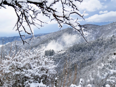 Photography titled "Paysage de Lozère" by Alain Brasseur, Original Artwork