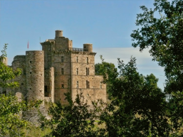 Fotografia intitolato "Château de Portes (…" da Alain Brasseur, Opera d'arte originale