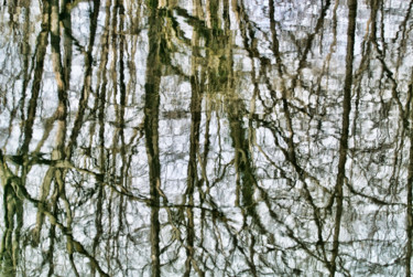 Photographie intitulée "Reflets" par Alain Brasseur, Œuvre d'art originale