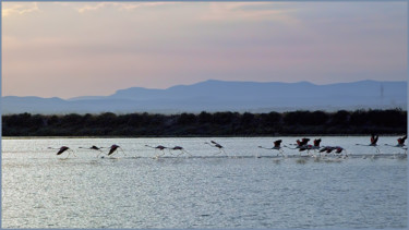 Photography titled "Courir pour décolle…" by Alain Brasseur, Original Artwork