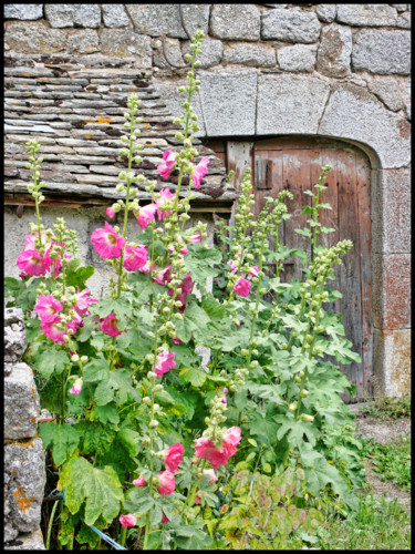 Photography titled "Le Pont-de-Montvert…" by Alain Brasseur, Original Artwork