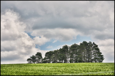 Fotografía titulada "Le bosquet. 2" por Alain Brasseur, Obra de arte original