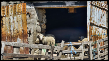 Fotografia zatytułowany „Recyclage.” autorstwa Alain Brasseur, Oryginalna praca