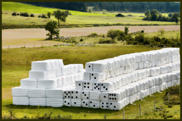 Fotografia intitulada "Un agriculteur créa…" por Alain Brasseur, Obras de arte originais