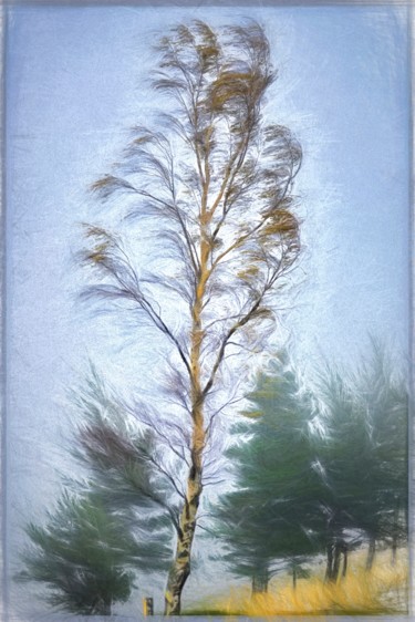 Digital Arts titled "In the wind." by Alain Brasseur, Original Artwork
