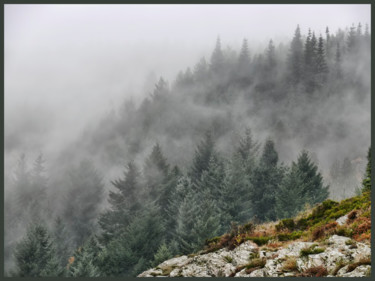 Photographie intitulée "Brouillard matinal." par Alain Brasseur, Œuvre d'art originale